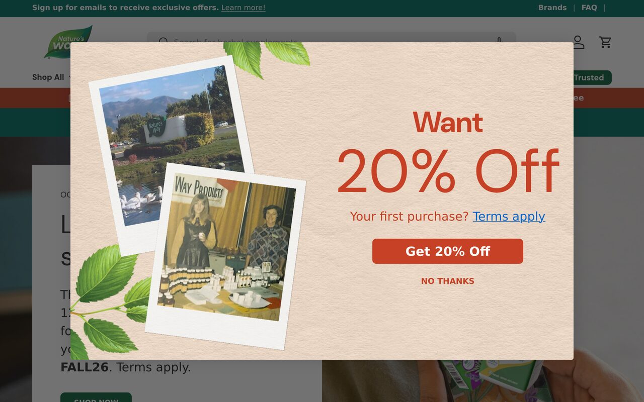 Baze homepage screenshot