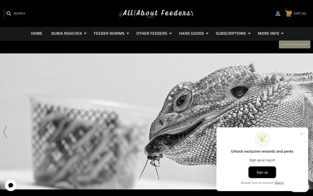 All About Feeders homepage