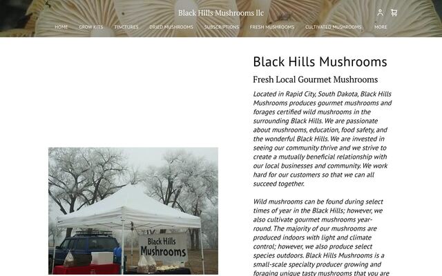 Black Hills Mushrooms – Monthly Grow Kits homepage