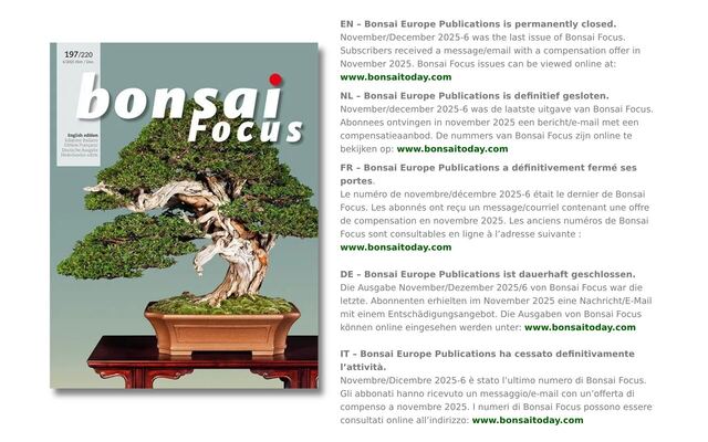 Bonsai Focus homepage