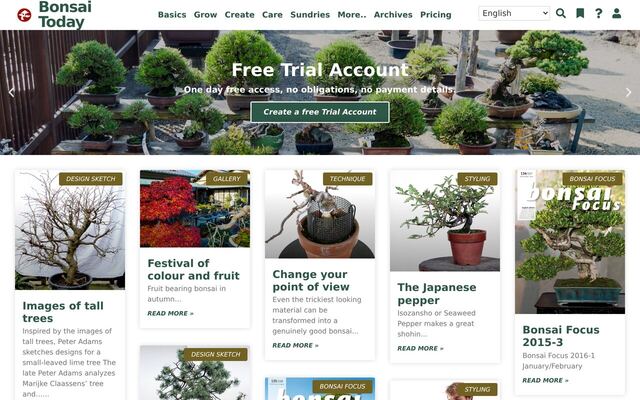 Bonsai Today homepage