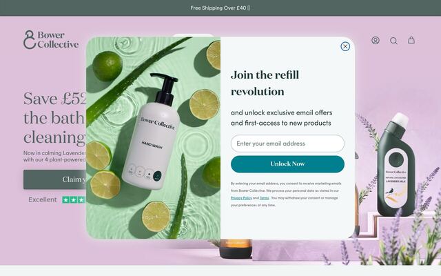 Bower Collective homepage