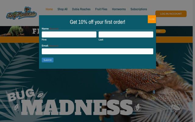 Bug Madness homepage