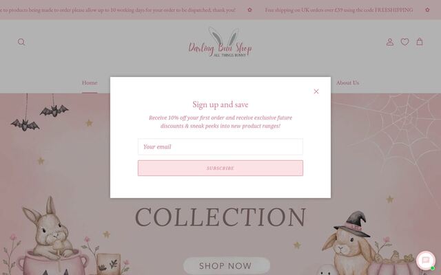 Darling Bun Shop Monthly Subscription Box homepage