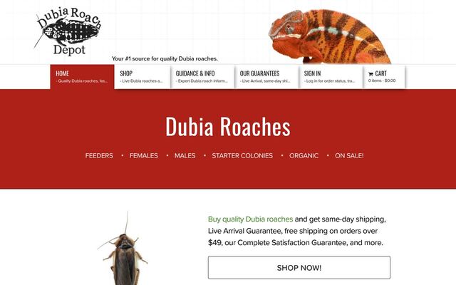 Dubia Roach Depot homepage
