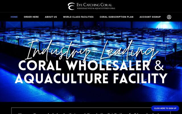 Eye Catching Coral Subscription Plan homepage