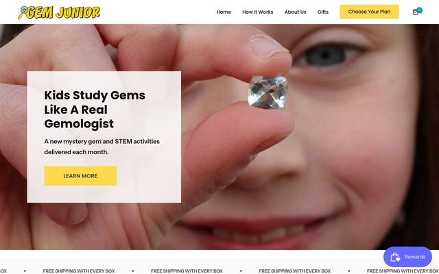 Gem Junior Mystery Gem Box (International Gem Society) homepage