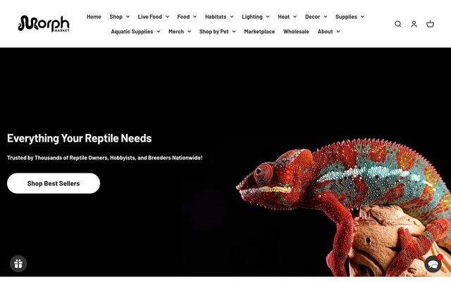 MorphMarket Shop Subscriptions homepage