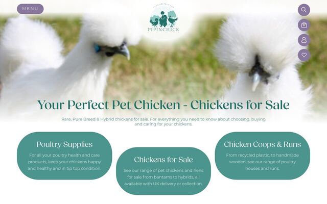 Pipinchick Monthly Subscription Box homepage