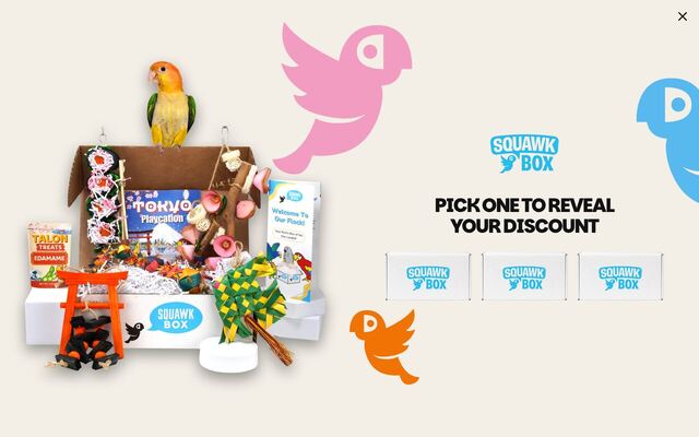 Squawk Box homepage