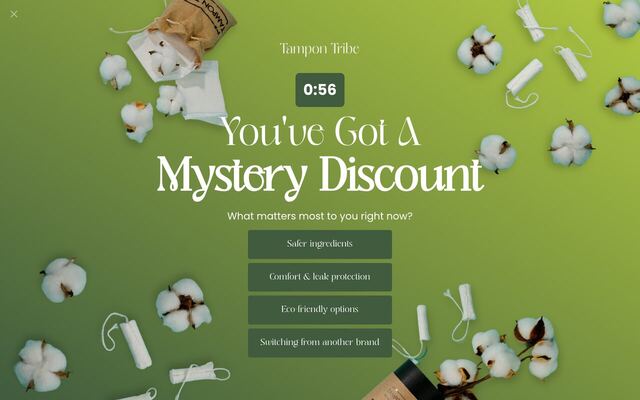 Tampon Tribe homepage