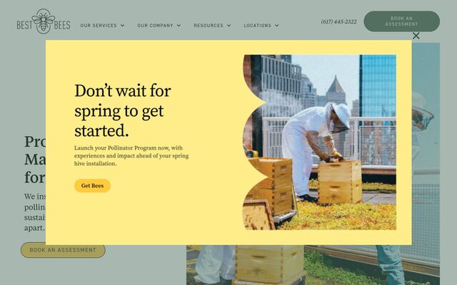The Best Bees Company homepage