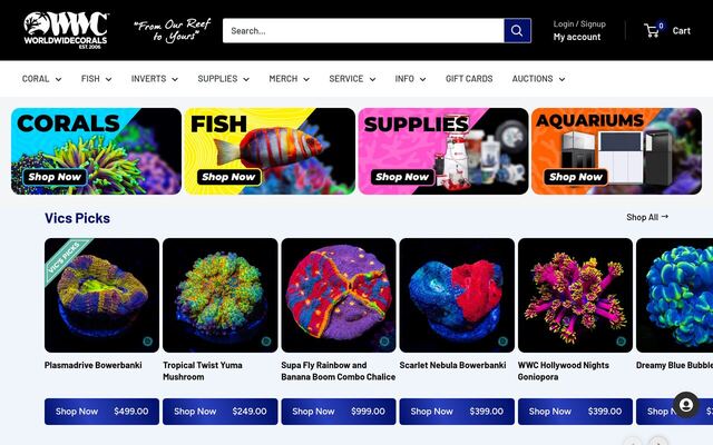 WWC Official Coral Club homepage